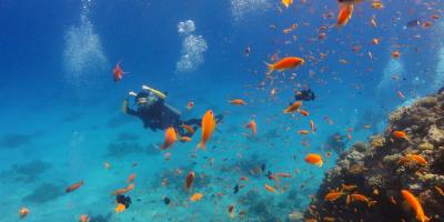 Exploring the Ocean: Best Scuba Diving Spots Across the Globe